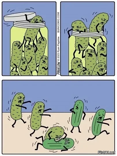 Солянка