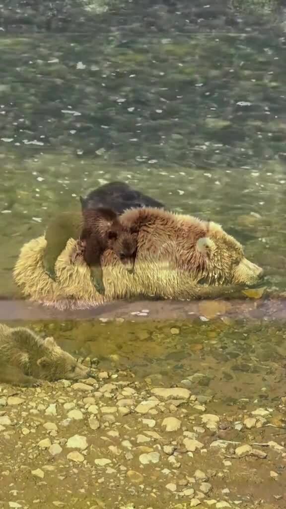 Мама