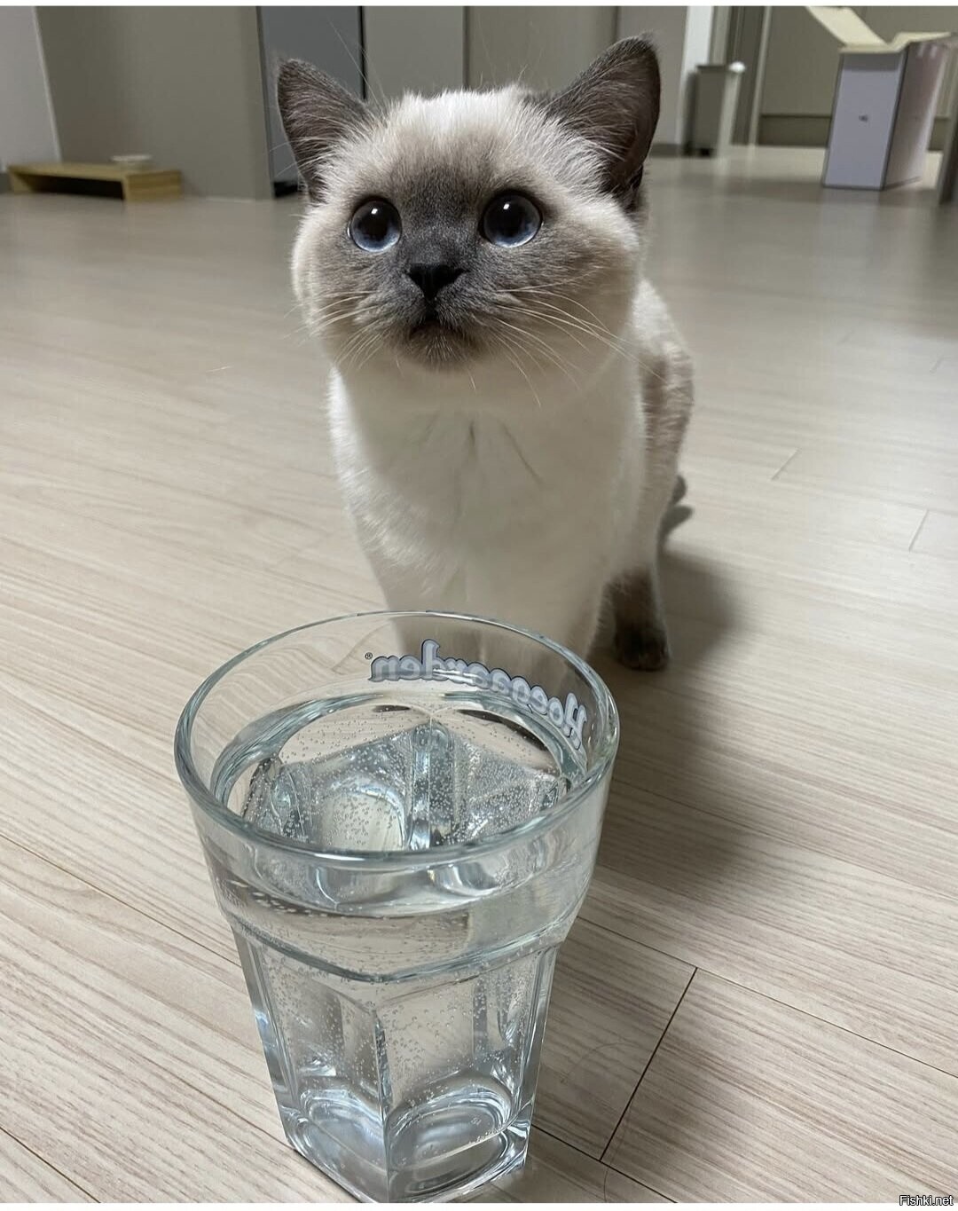 Доброе утро