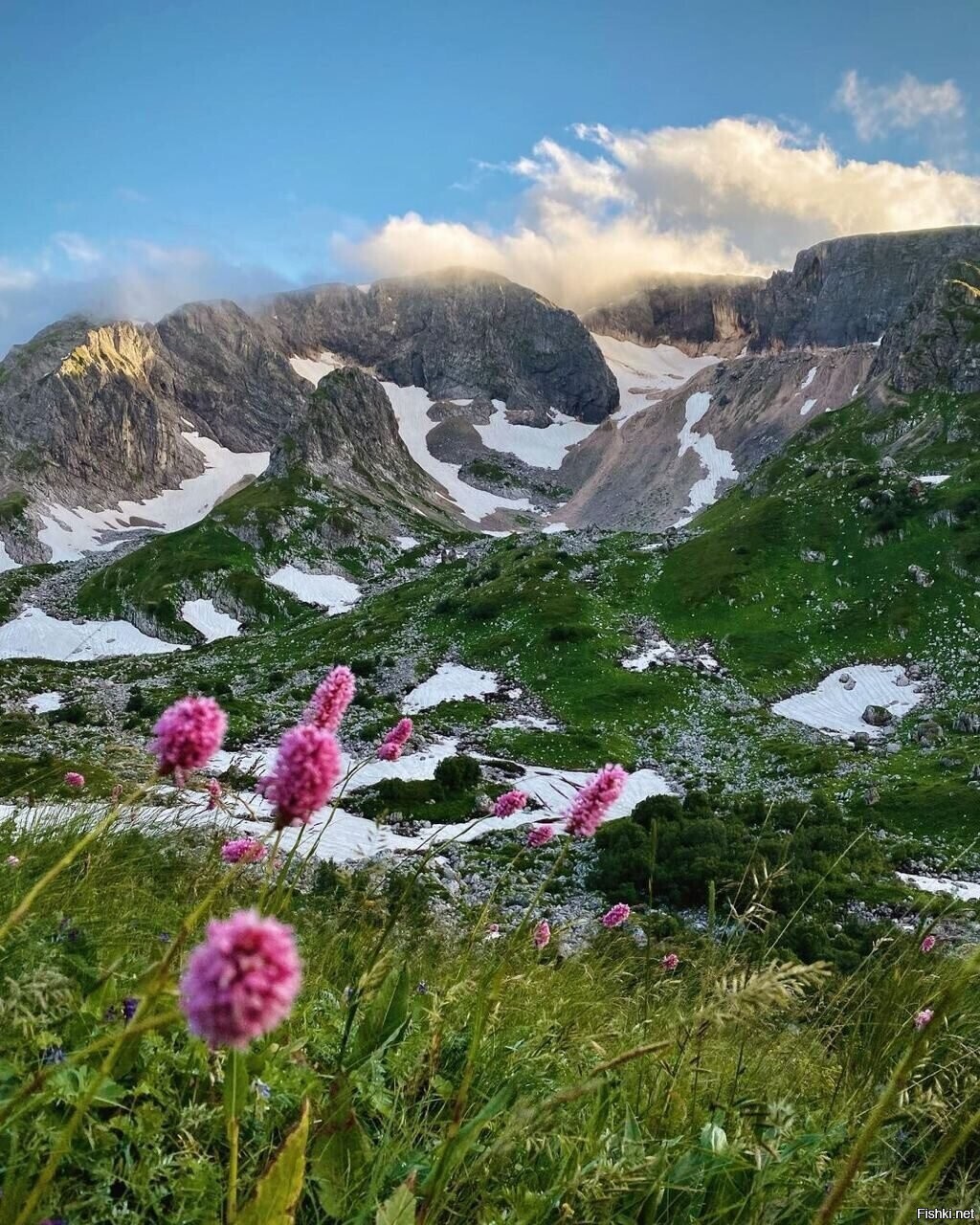 Адыгея