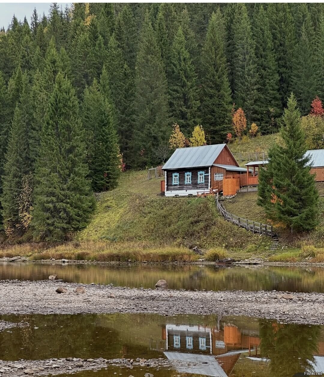 Солянка