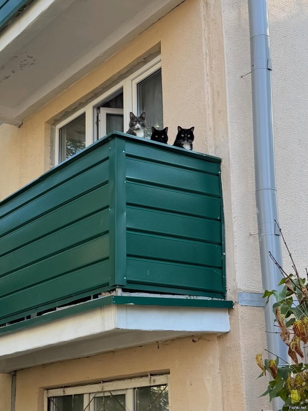 За вами следят