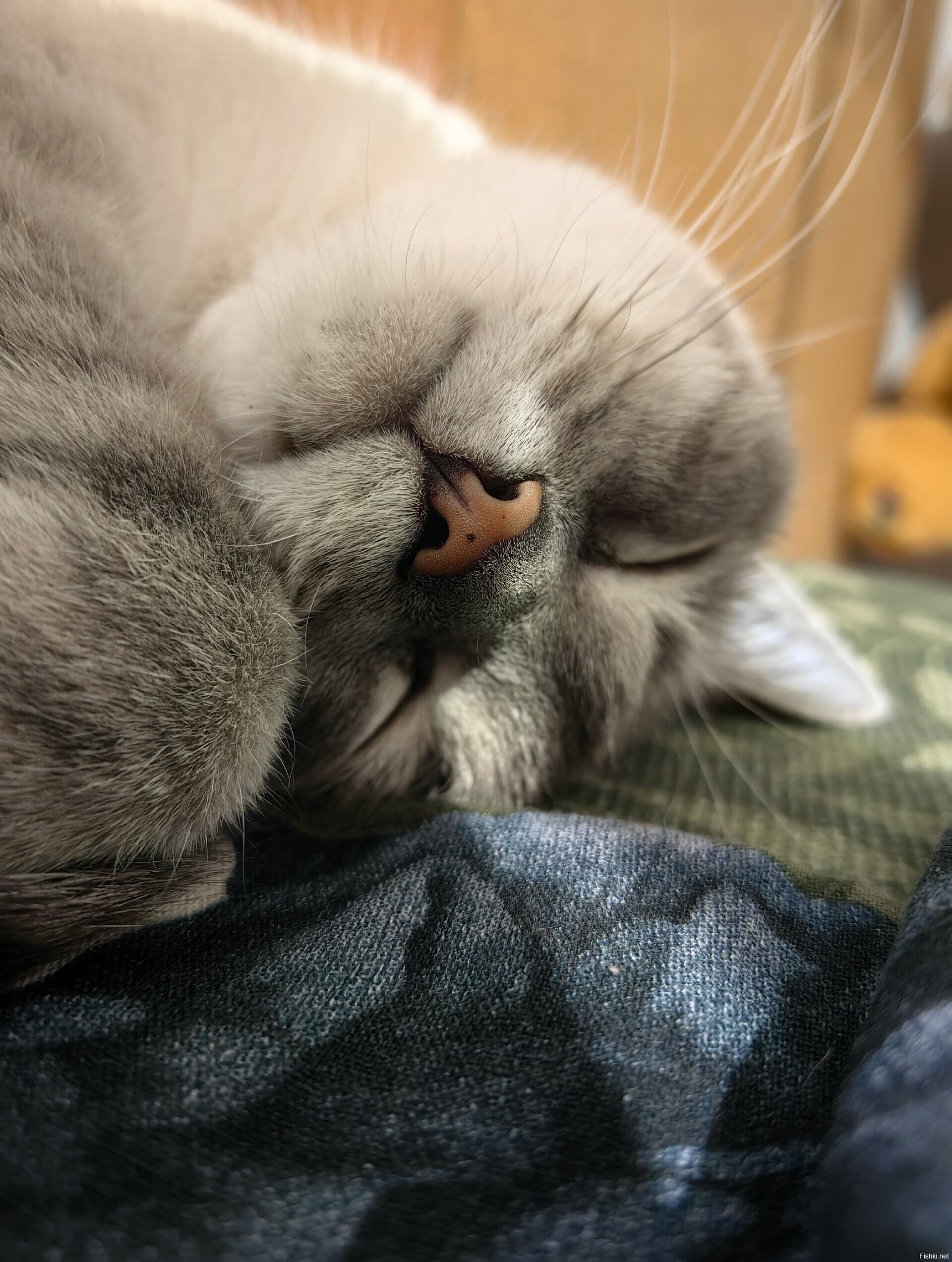 Солянка