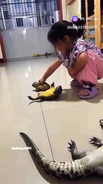 Всех уложила