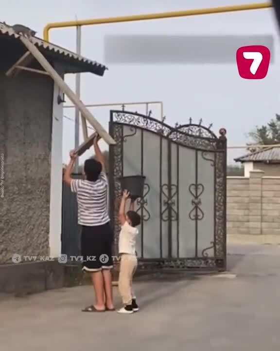Солянка