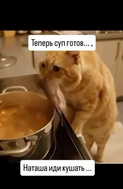 Солянка