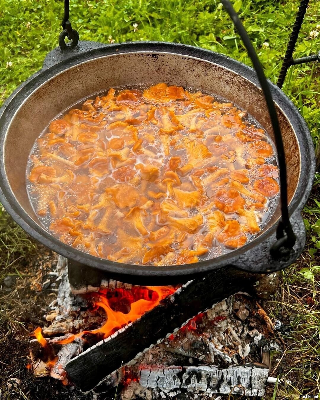 Солянка