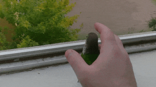 Просто гифки, всякие и&nbsp;разные