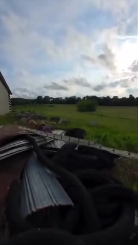 Я сама всё сделаю