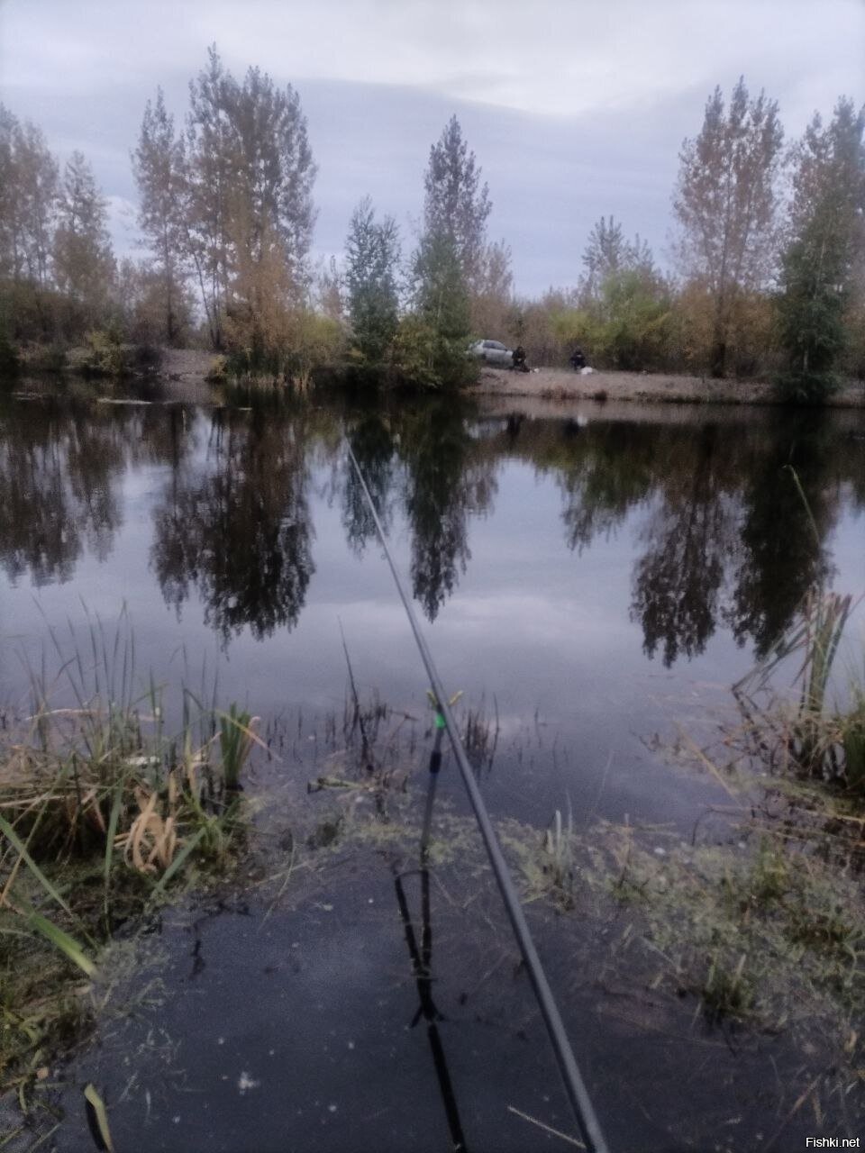 Солянка