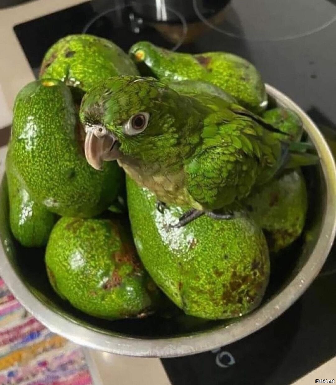 Солянка