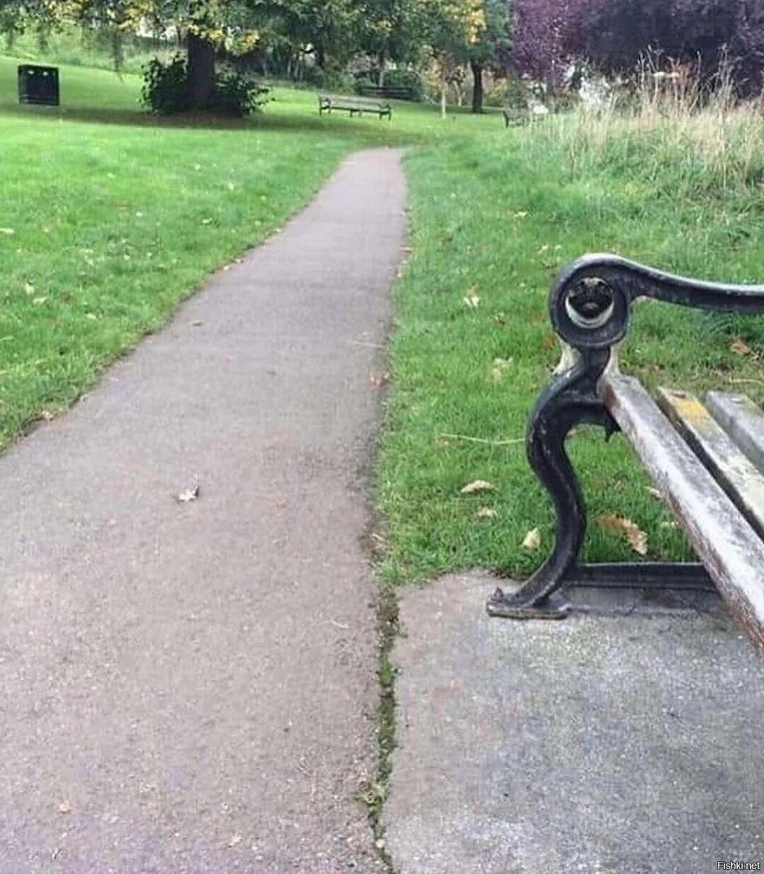 Прятки
