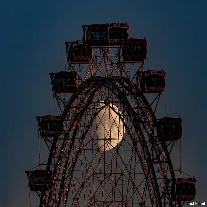 Солянка