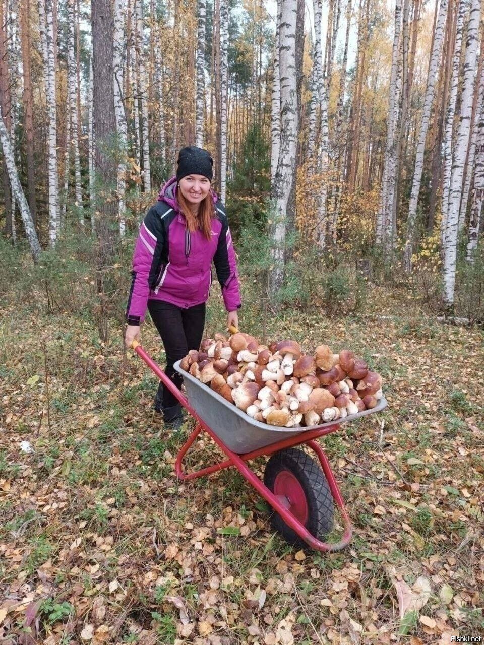 Солянка