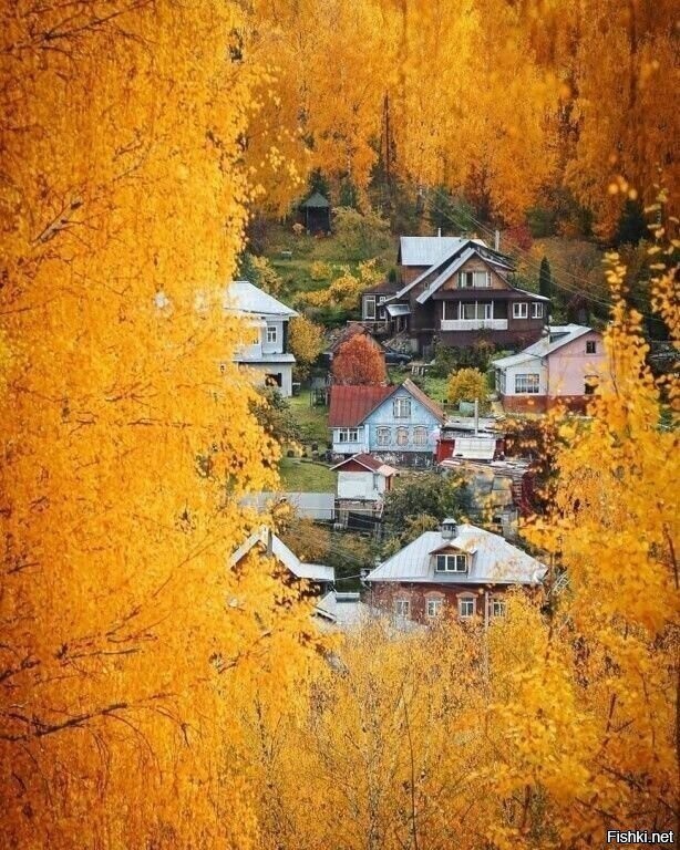 Солянка