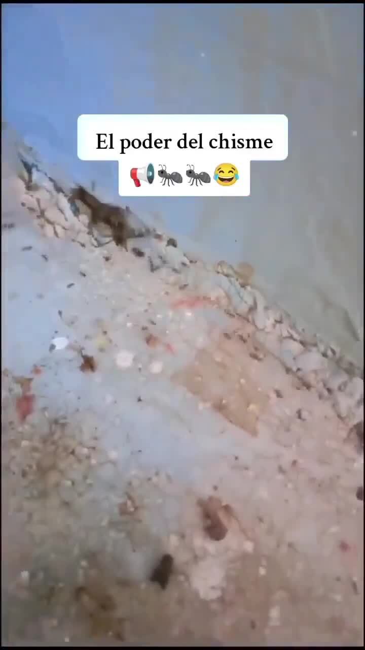 Мужики