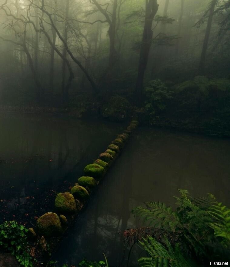 Солянка