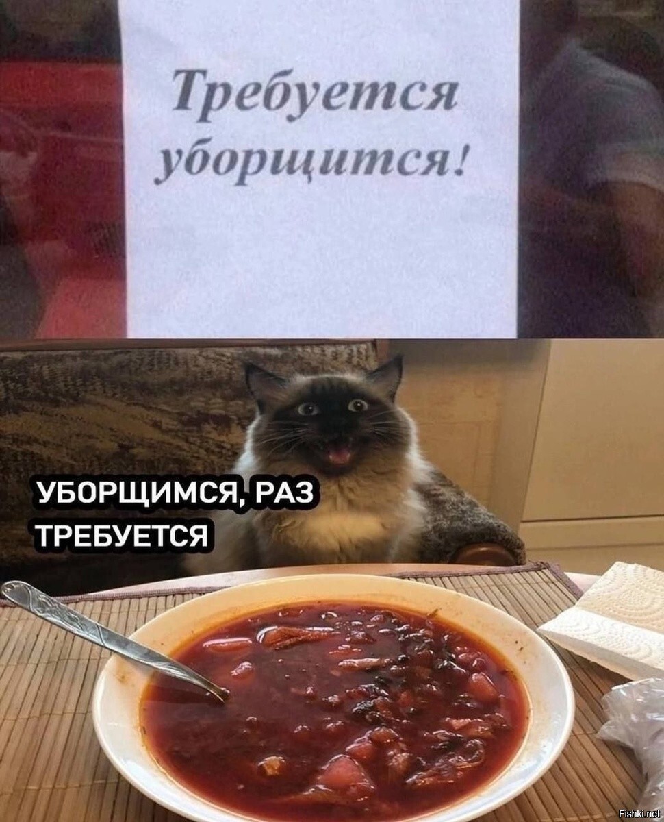 Солянка
