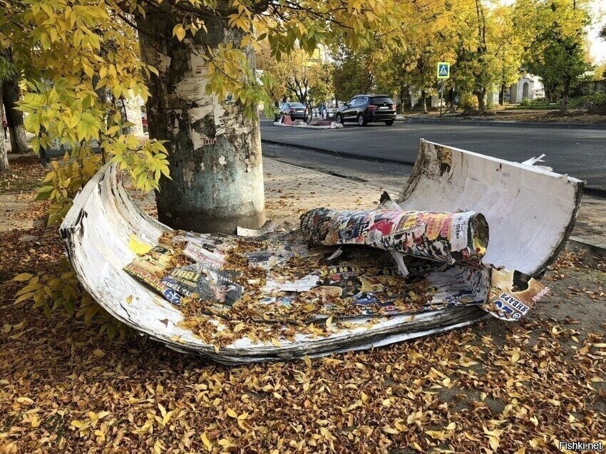 Осень, деревья и столбы сбрасывают кору