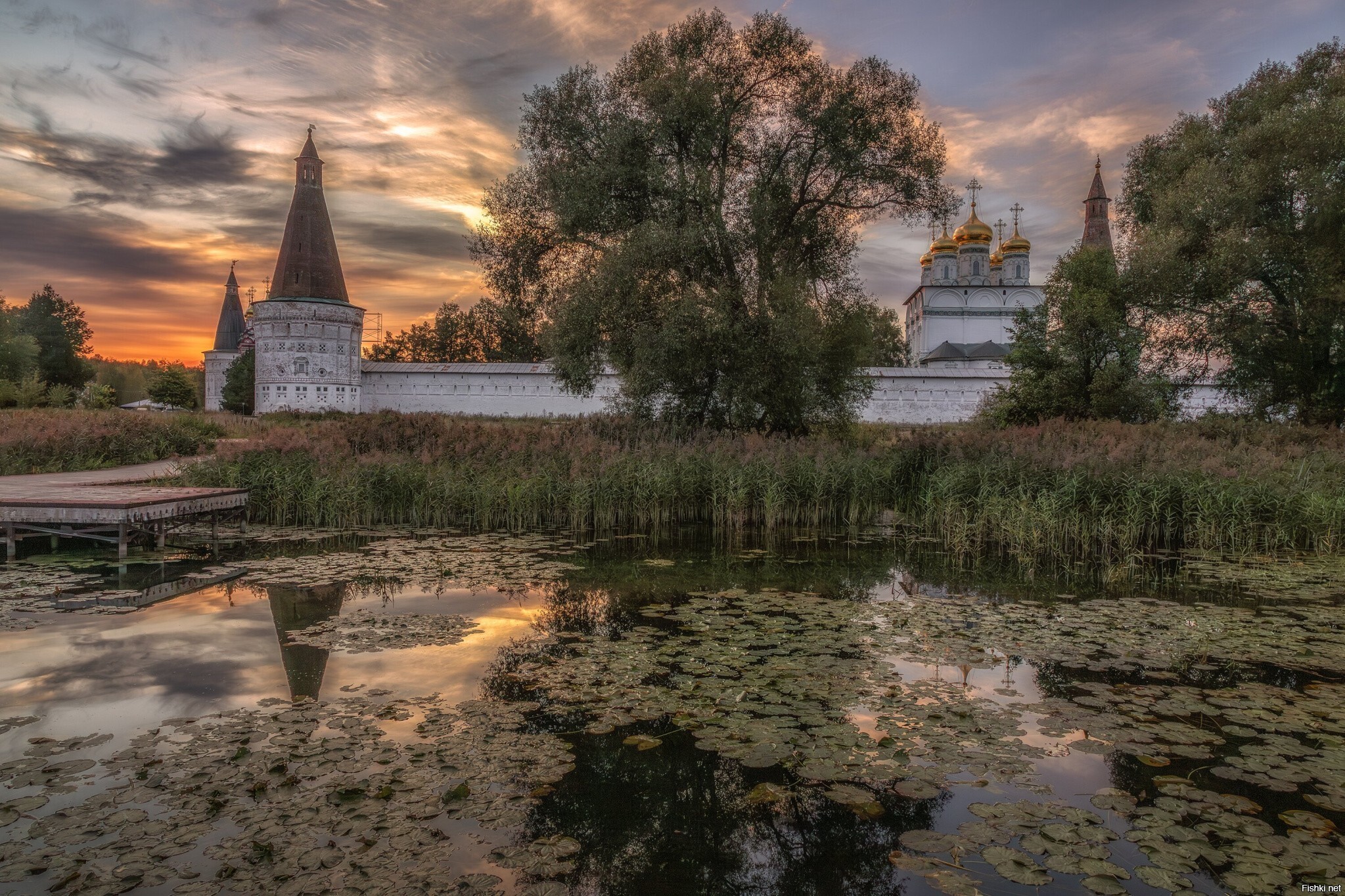 Солянка