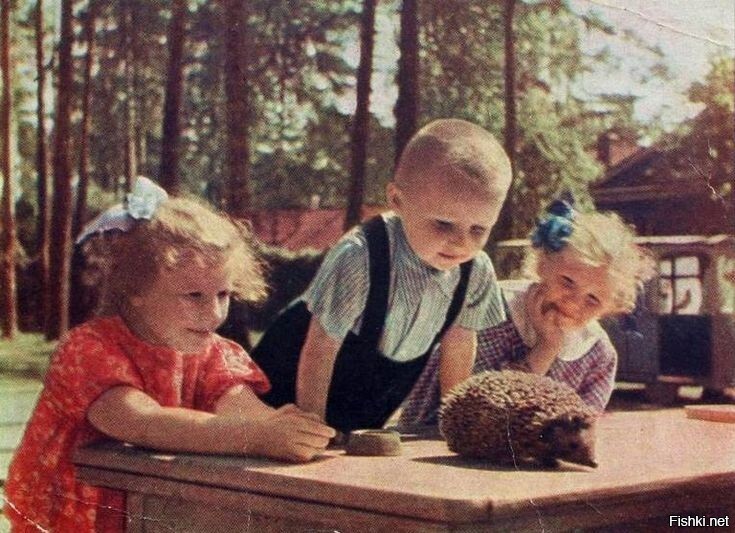 Солянка