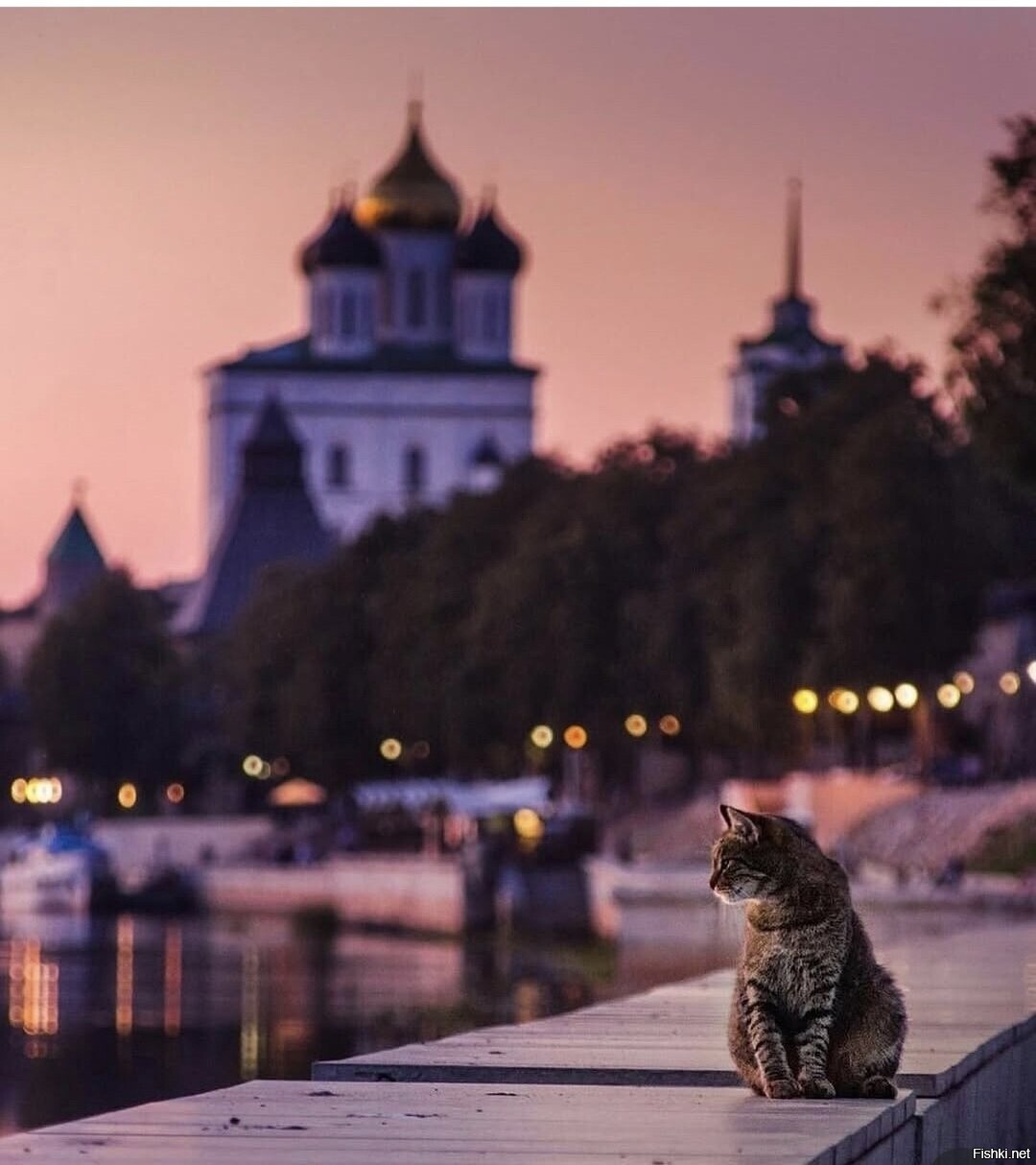 Солянка