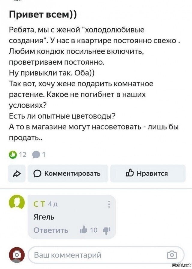 Солянка