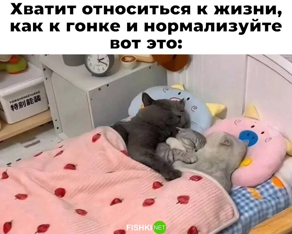 Скрины из соцсетей&nbsp;&nbsp;&nbsp;&nbsp;&nbsp;&nbsp;&nbsp;&nbsp;&nbsp;&nbsp;&nbsp;&nbsp;