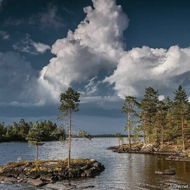 Солянка