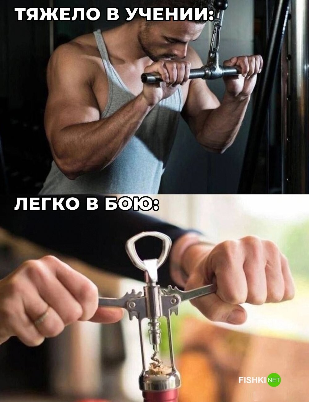 Продолжаем барражировать соцсети