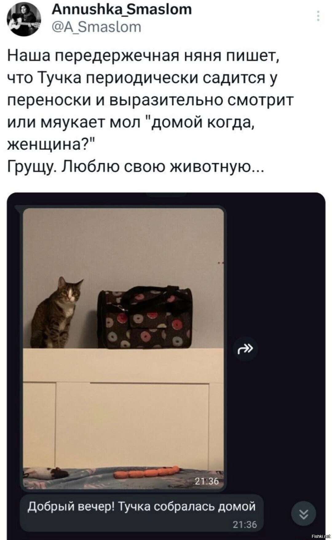 Солянка