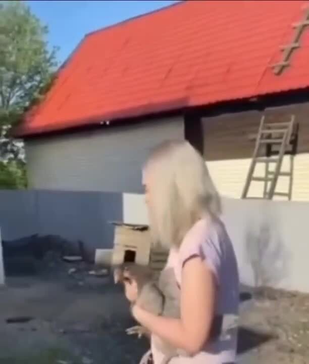 От любви до ненависти