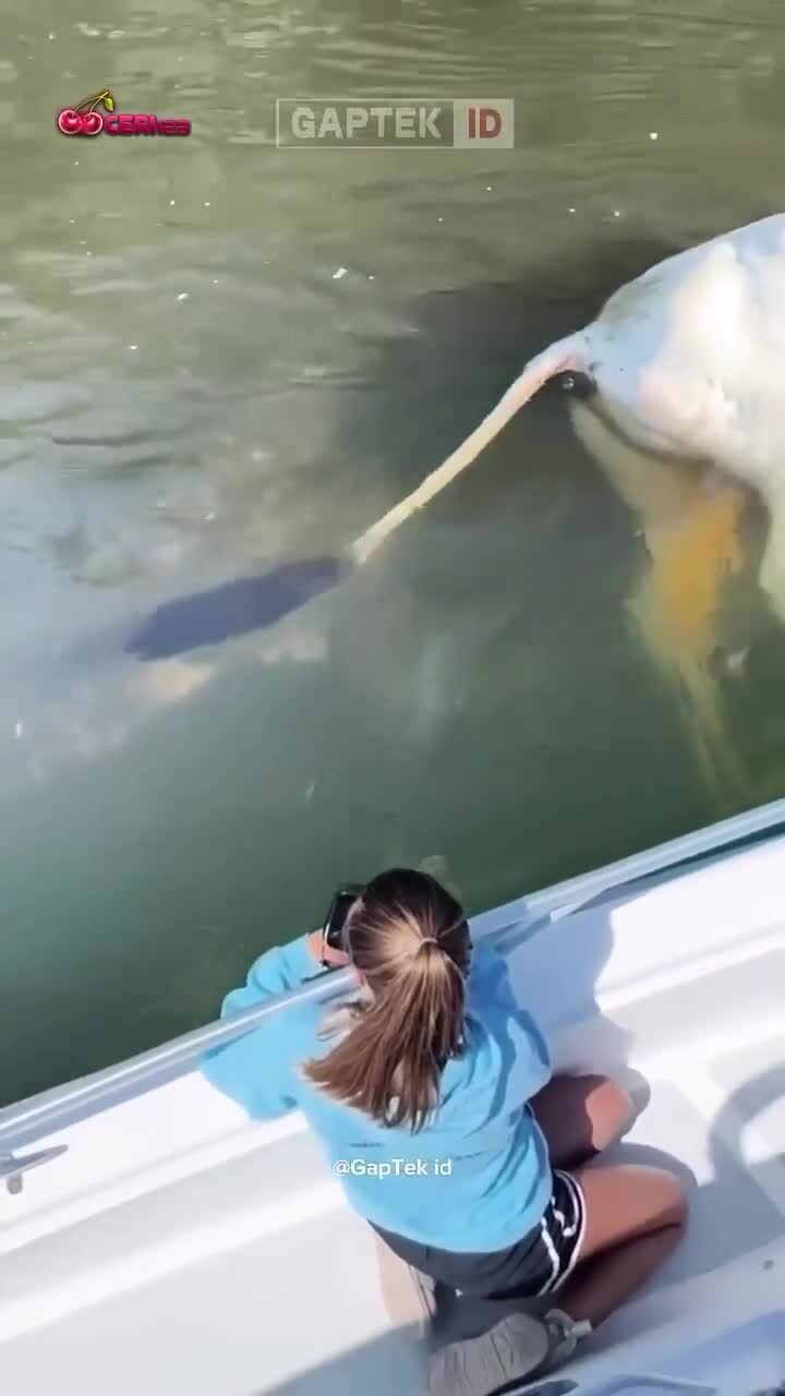 Ужин