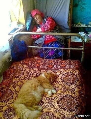 Солянка
