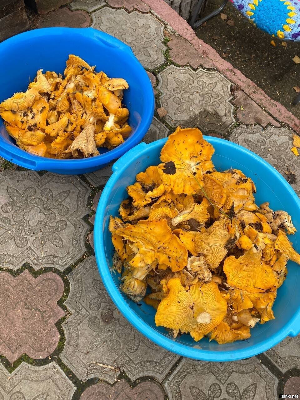 Солянка