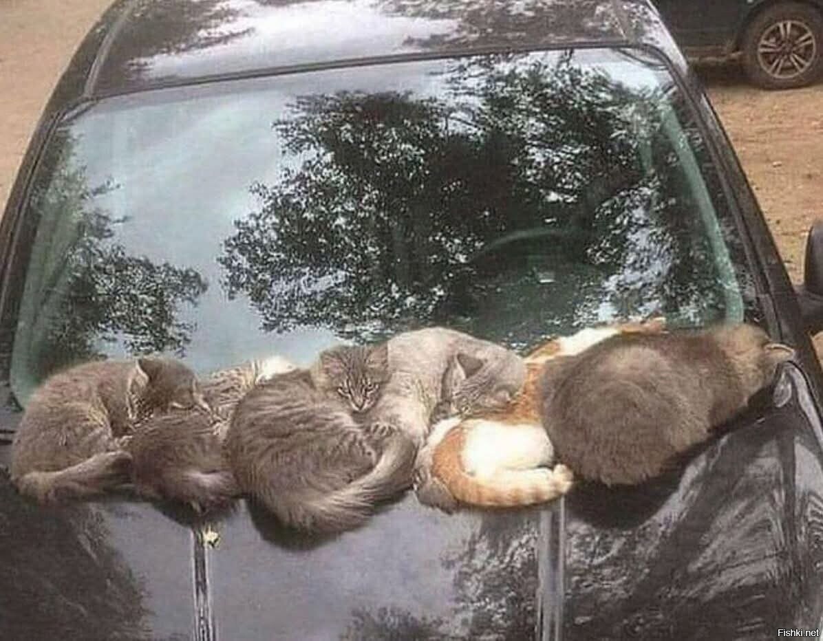 Уютно)