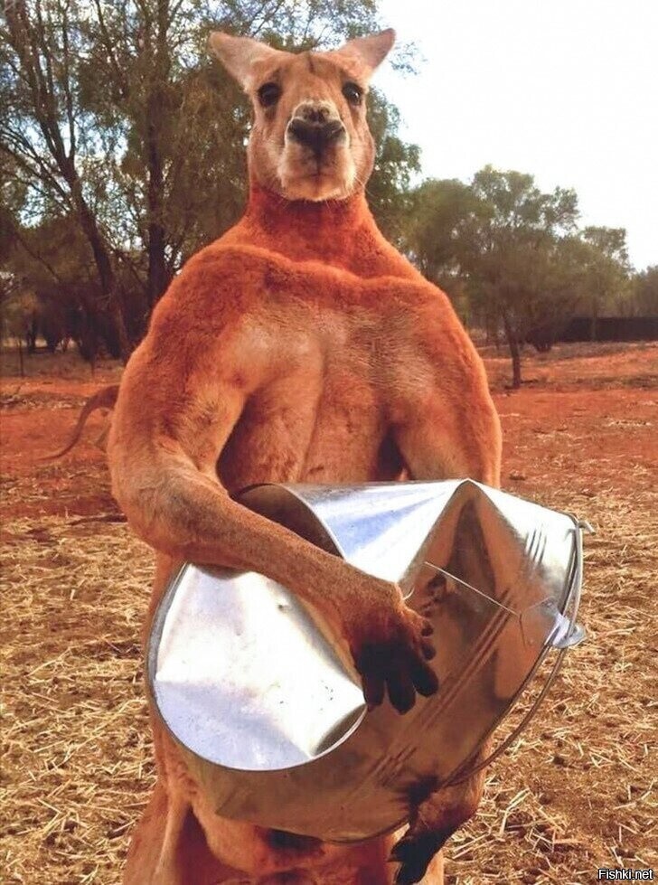 - Чё