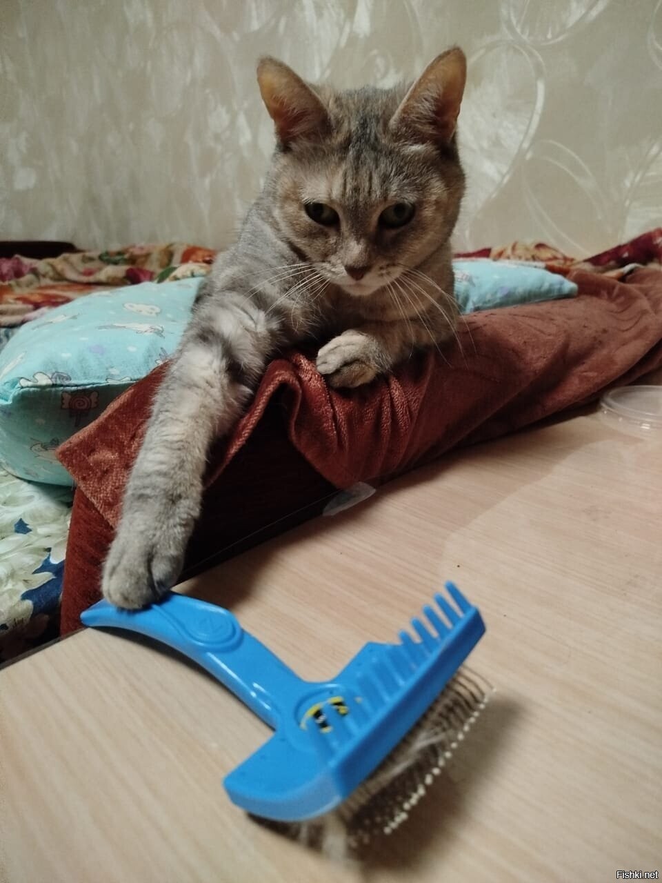 Солянка