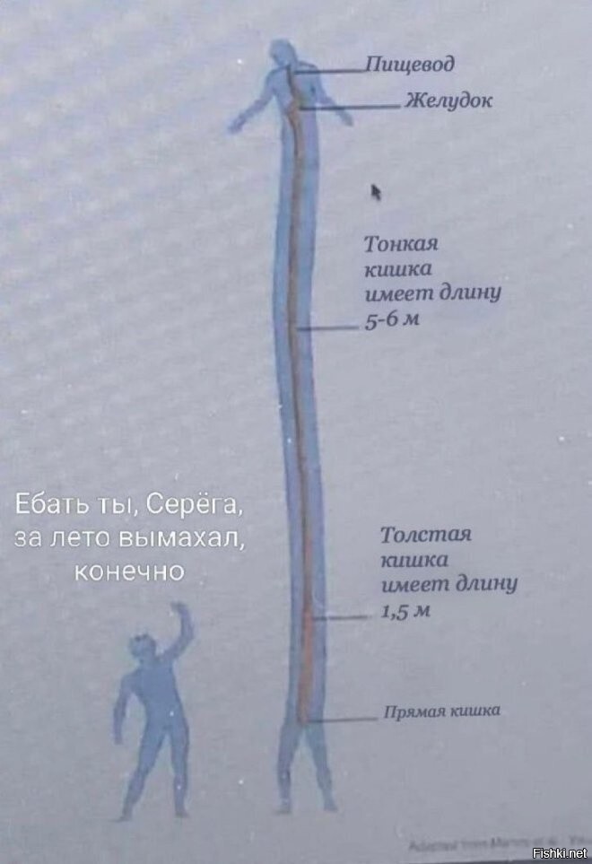 Солянка