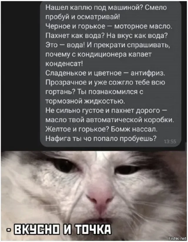 Солянка