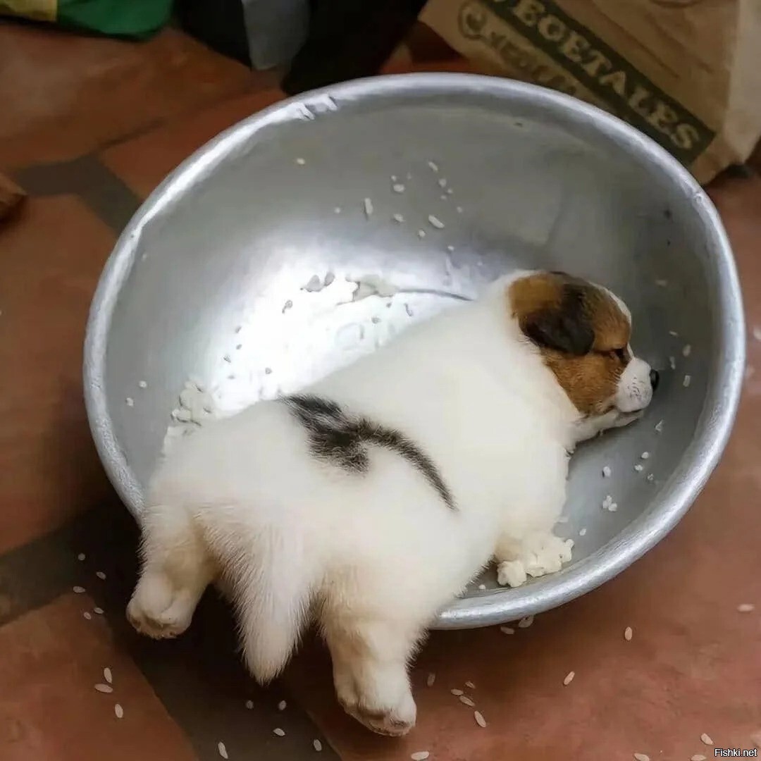 Солянка