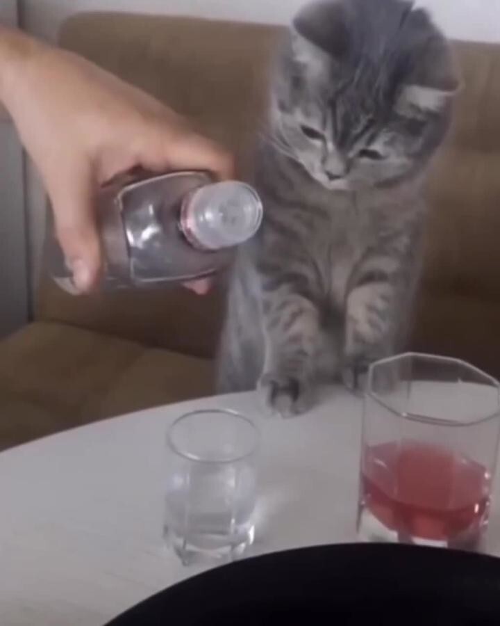 Норму знает)