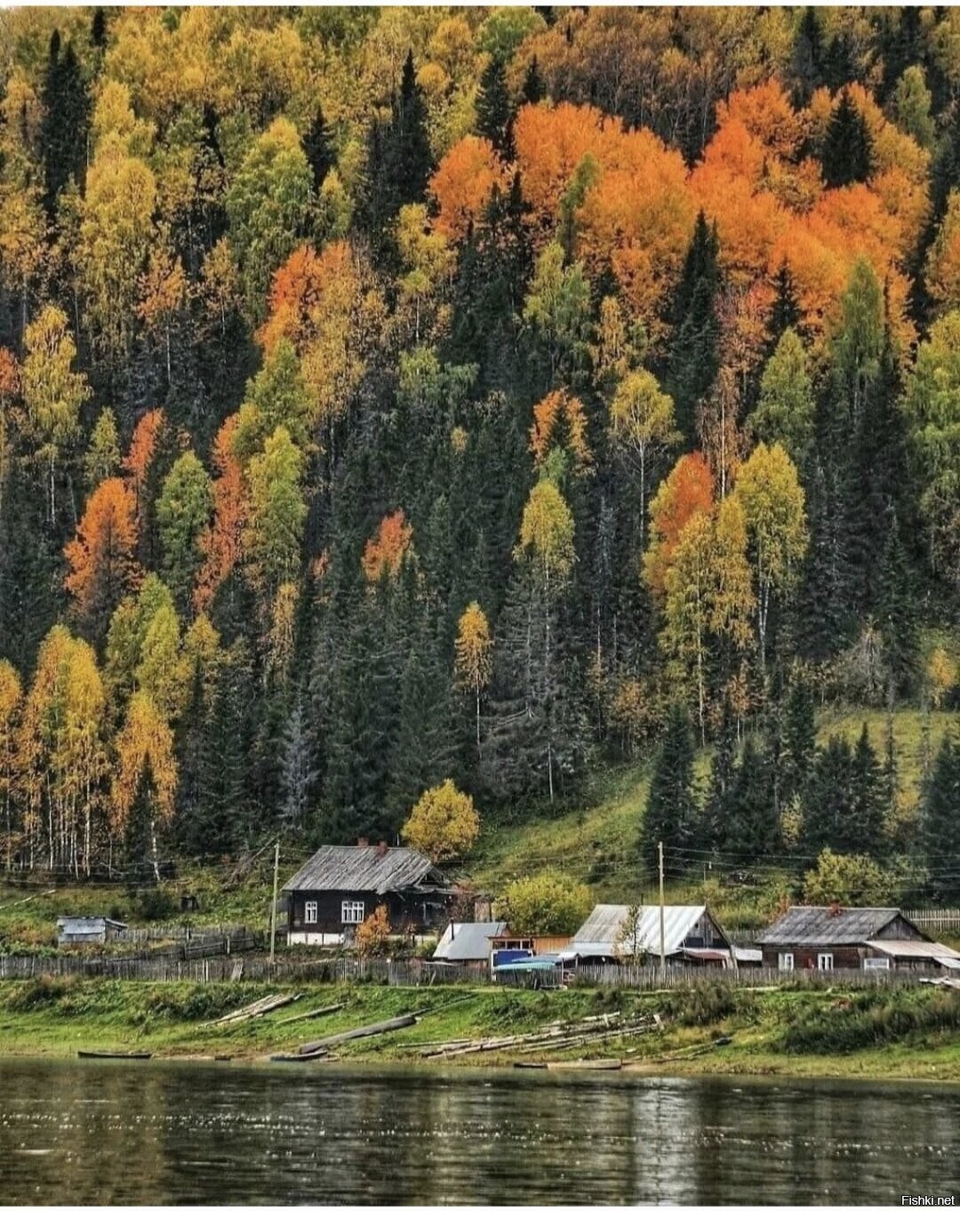 Солянка