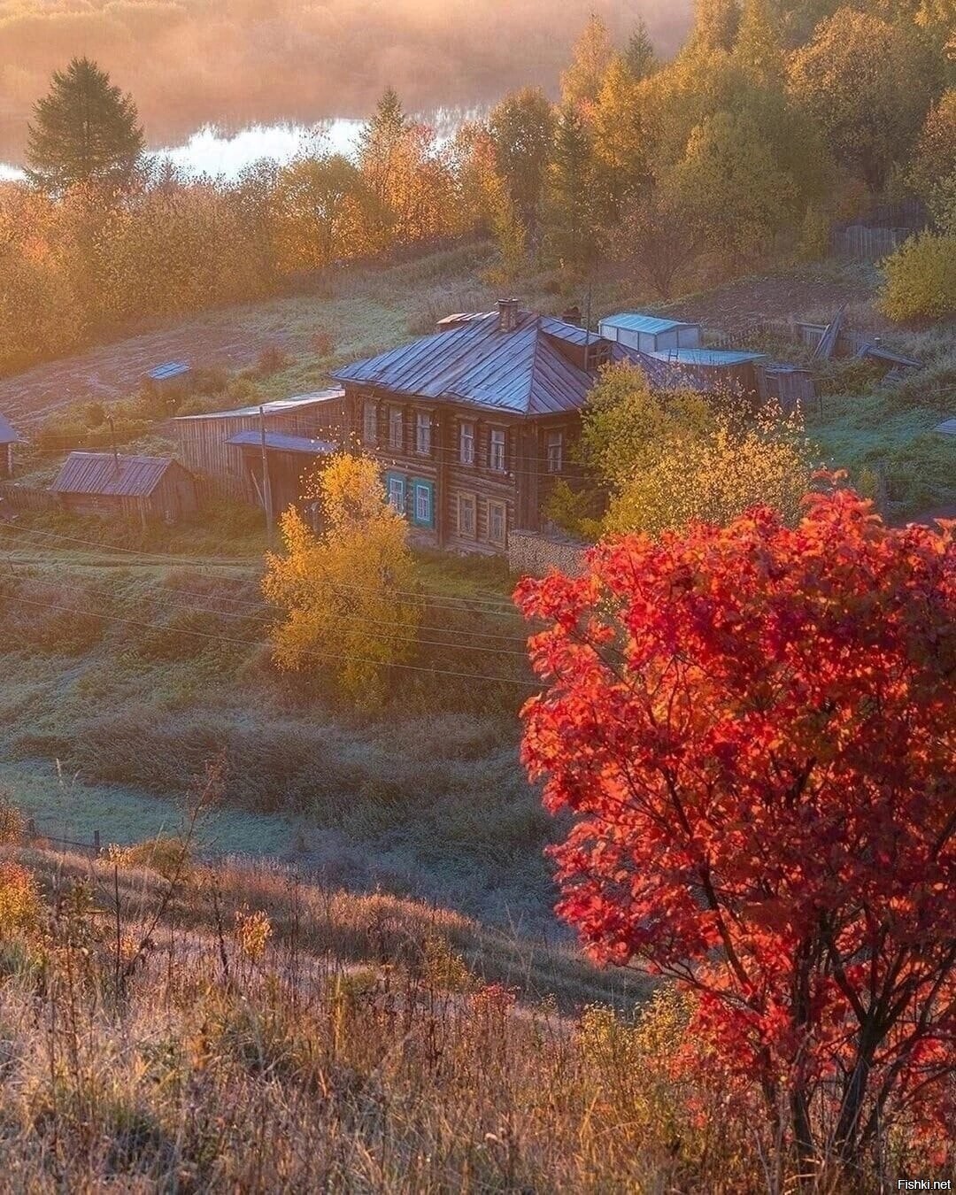 Солянка