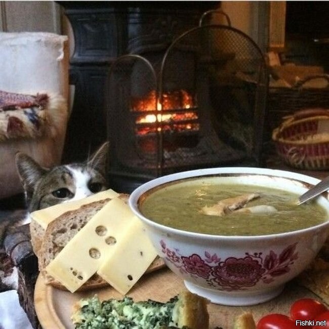 Гороховый суп с котом