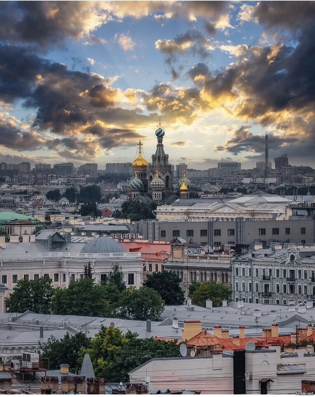 Солянка
