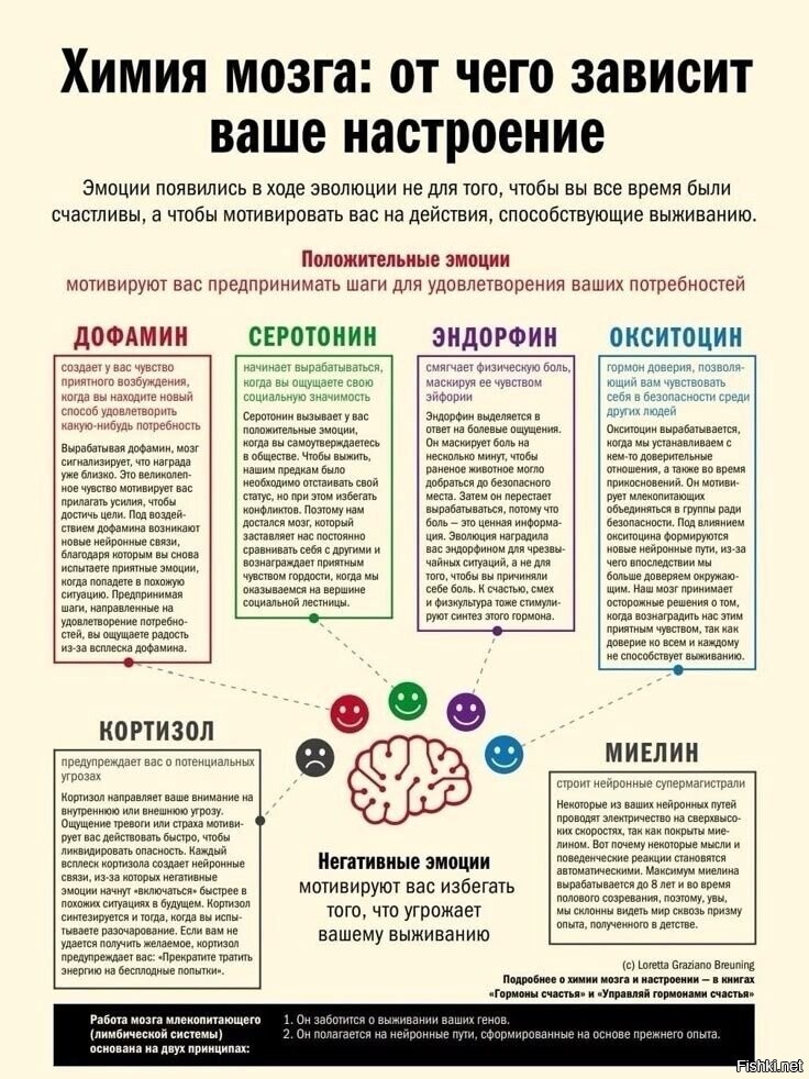 На старость лет и я узнал - что и как в этих гормонах 