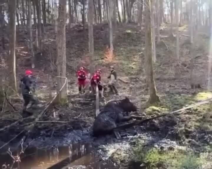 Солянка