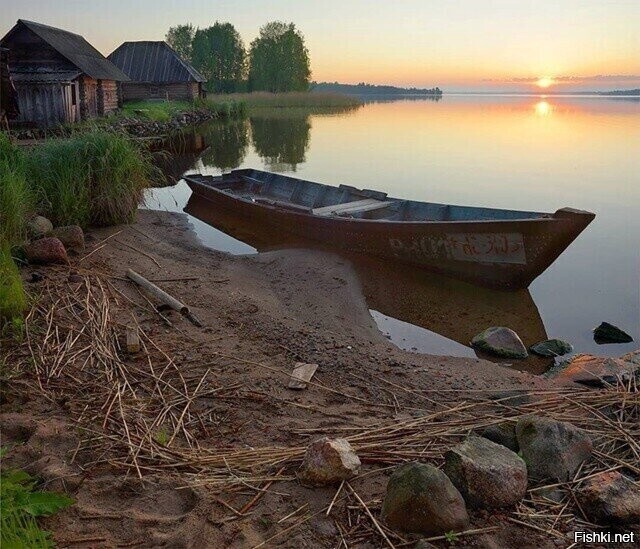 Солянка