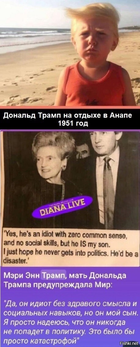 Нужно было в политику,но улыбнуло